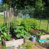 <!-- V1 -->In Person Garden Consultation<br><b>Monsey area ONLY</b>