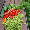 <!-- V1 -->In Person Garden Consultation<br><b>Monsey area ONLY</b>
