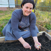 Growing Garlic