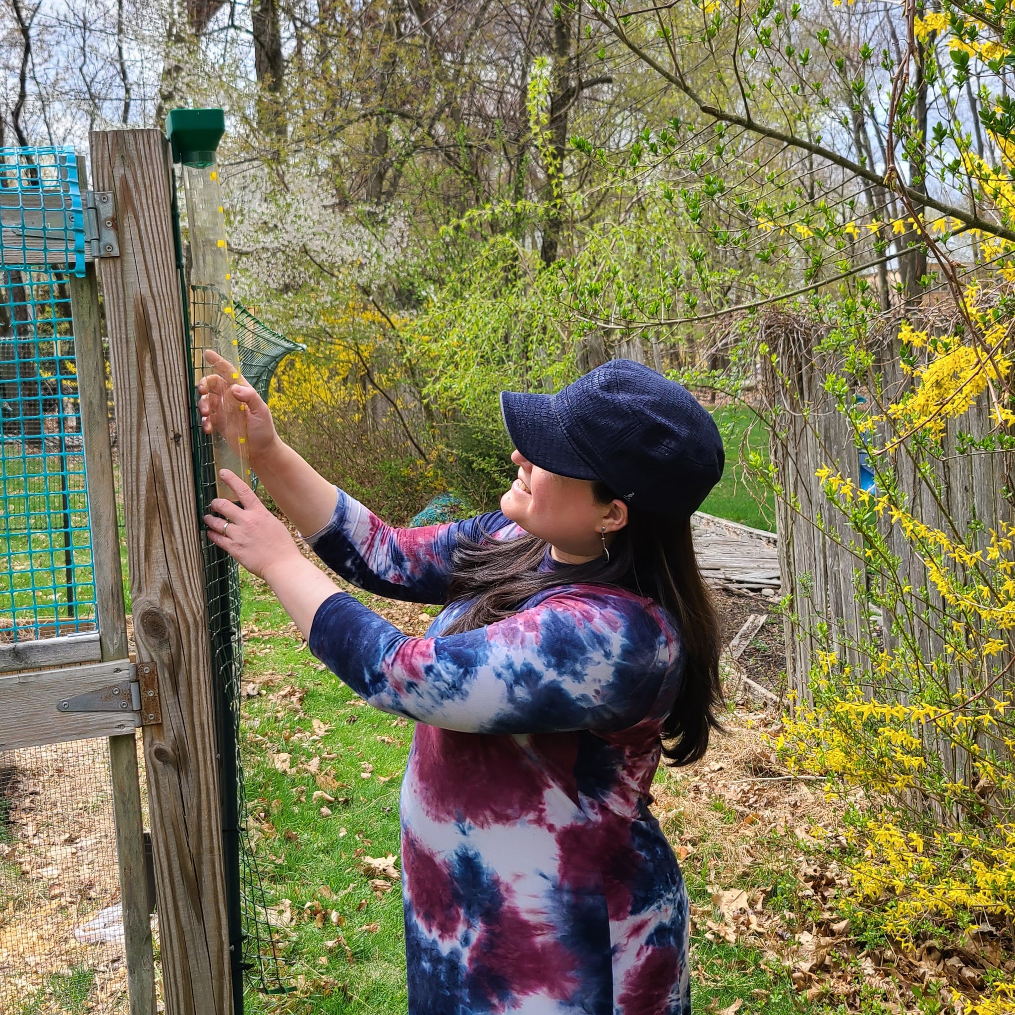 Rain, Rain Gauges, and Watering