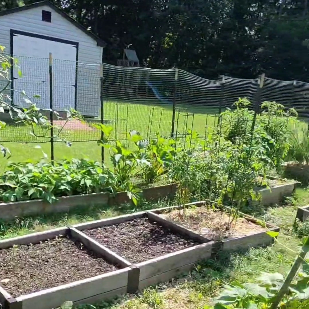 <!-- V3 -->2025 Garden Plan & Consultation<br><b>Repeat Customer Only!</b>