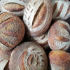 <!-- 2 -->Artisan Sourdough Loaves <br><b>Thursday<br>September 7</b>