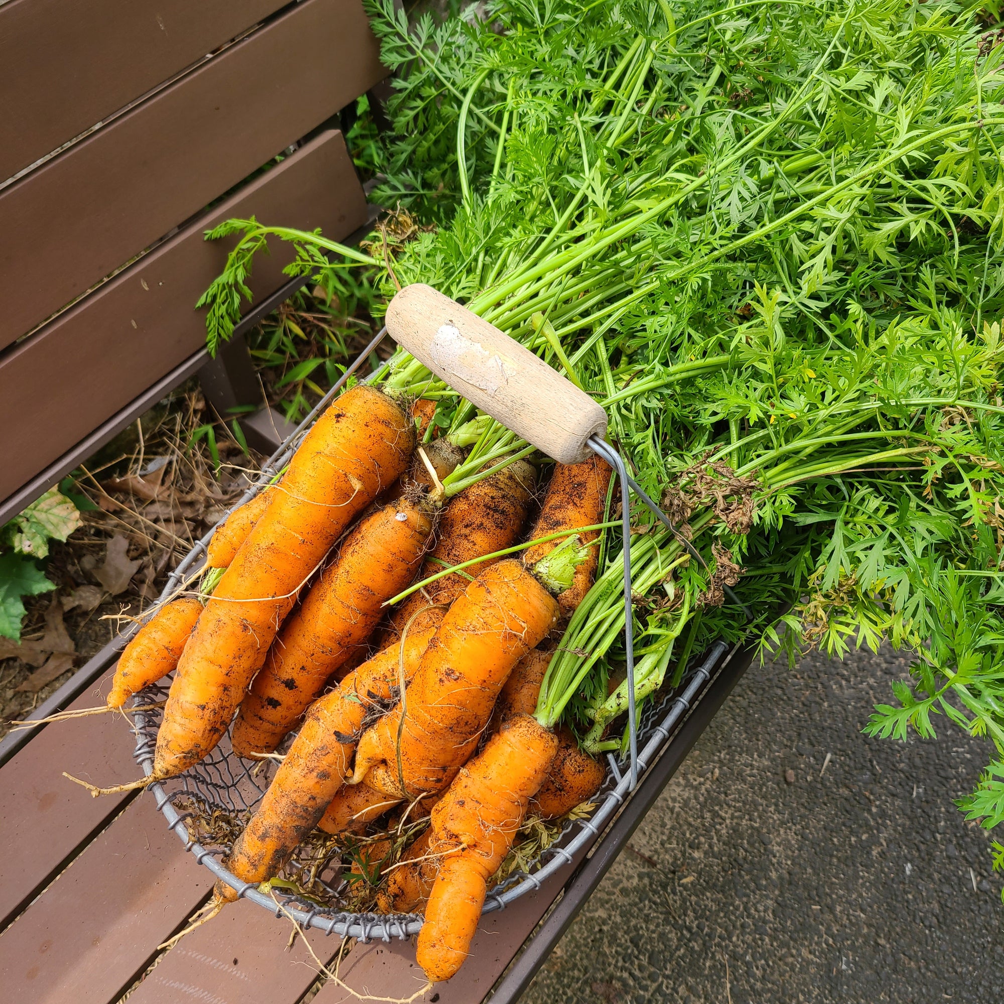 <!-- V2 -->Virtual Garden Consultation