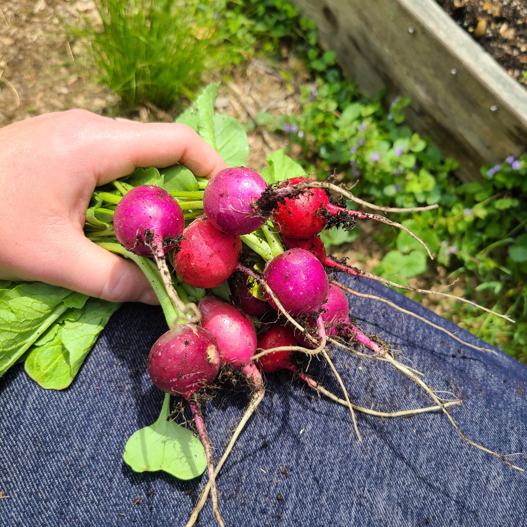 <!-- V2 -->Virtual Garden Consultation