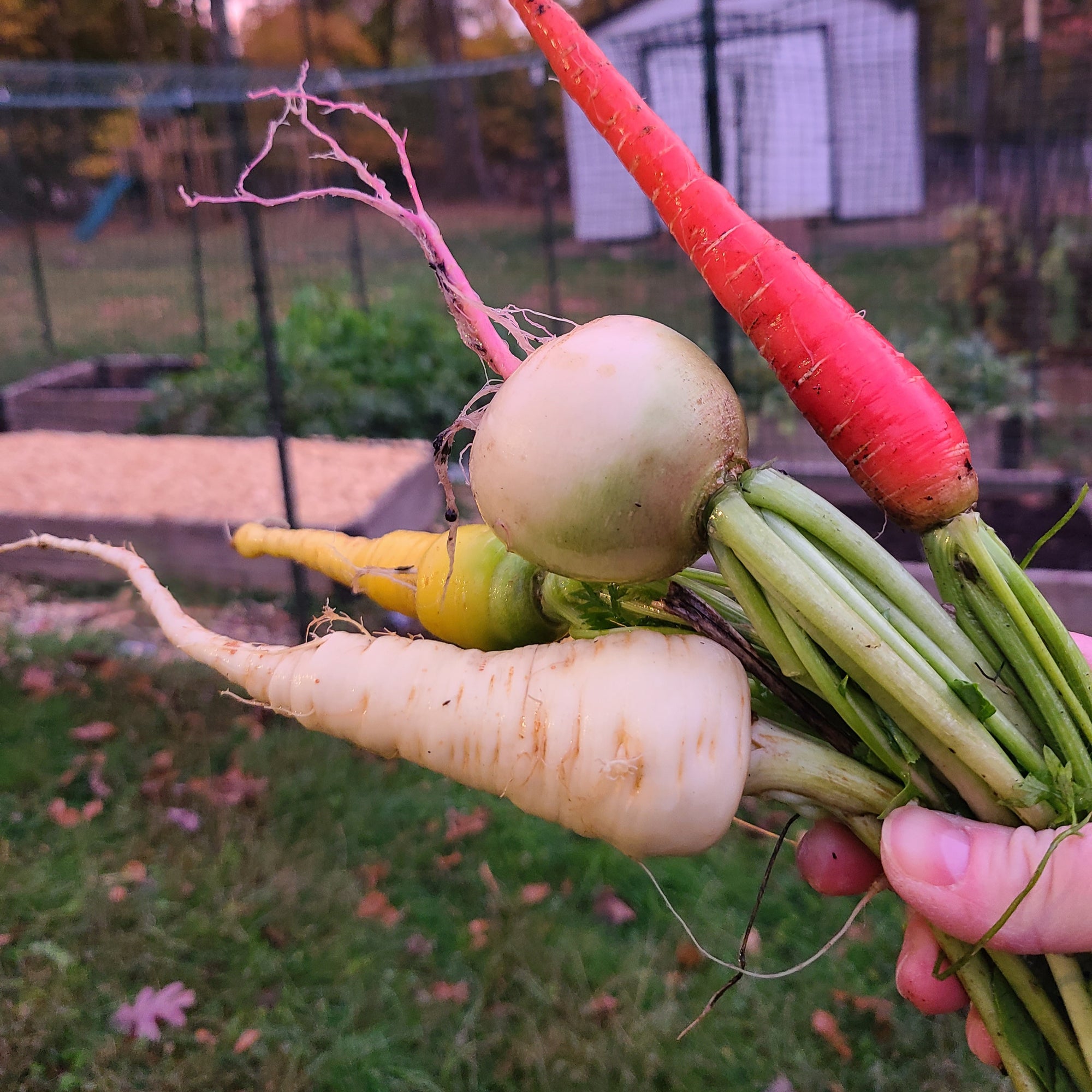 <!-- V2 -->Virtual Garden Consultation