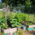 <!-- V2 -->Virtual Garden Consultation
