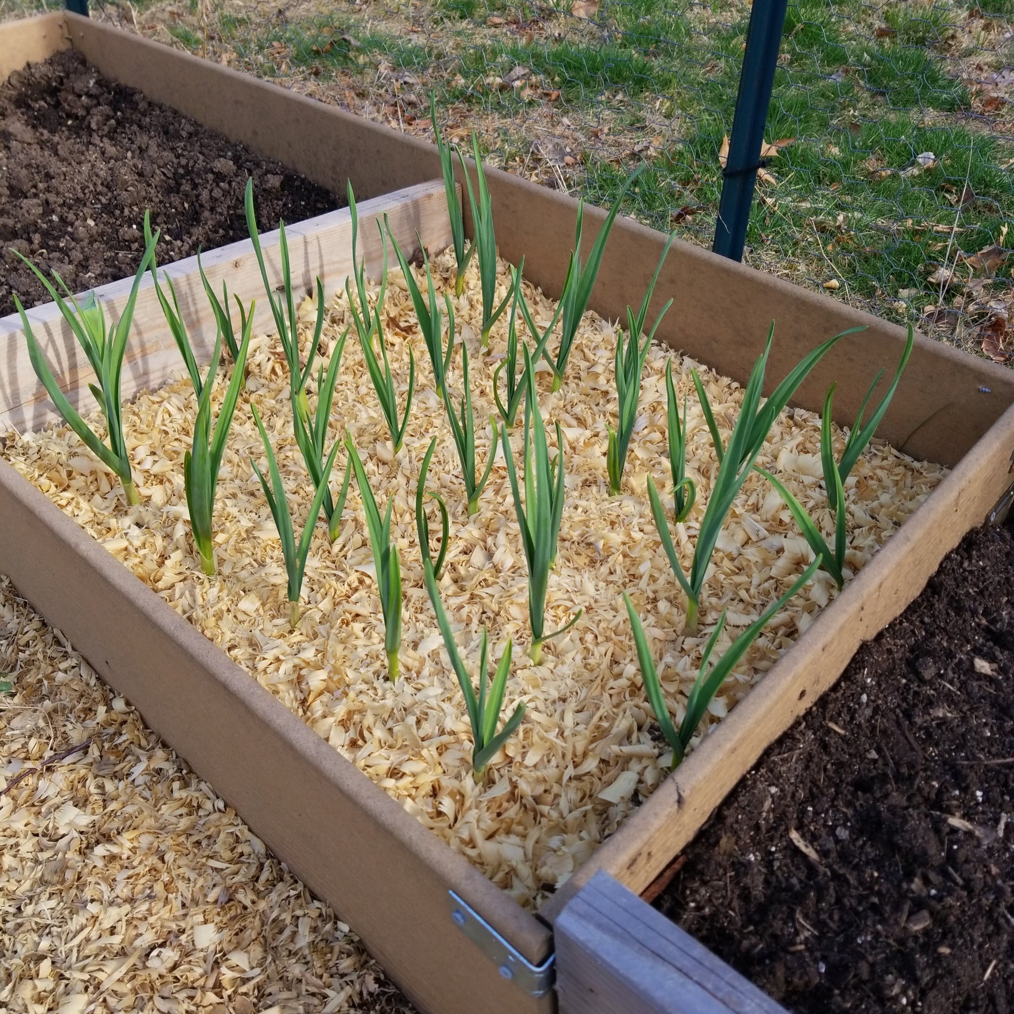 <!-- V2 -->Virtual Garden Consultation