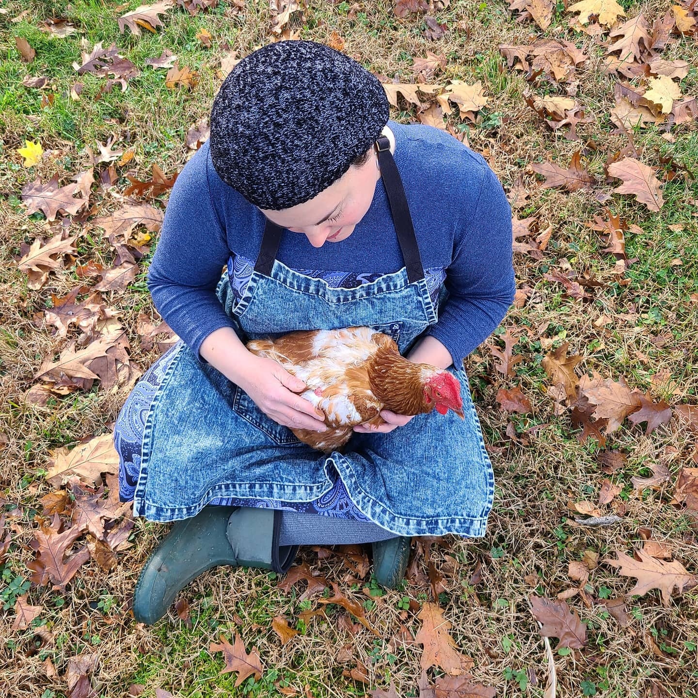 <!-- V4 -->Virtual Consultation for Backyard Chickens